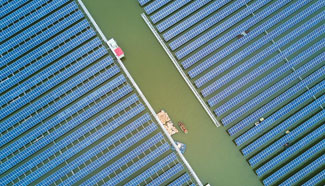 Photovoltaic generation project above fishery waters put into operation