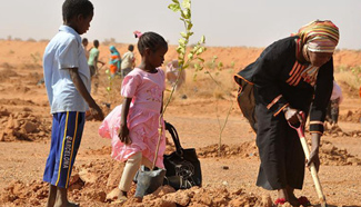 Sudan's Khartoum State authorities starts planting 1,000 trees