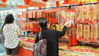 Chinese Lunar New Year decorations welcomed in Brunei