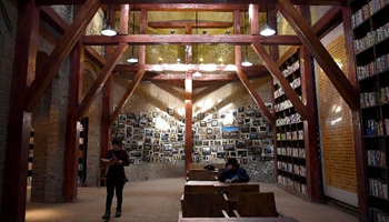 Cave dwelling library opens to public for free in central China's village