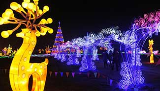 Tourists visit lantern fair in Wuqiao, north China