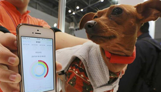 Pets try out wearable device