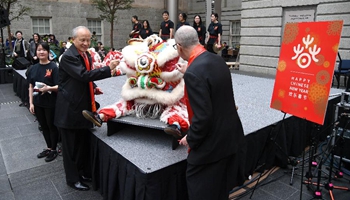 Thousands get a taste of Chinese Spring Festival in Washington