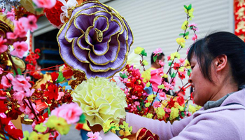 Lantern parade held to celebrate Lunar New Year in SE China
