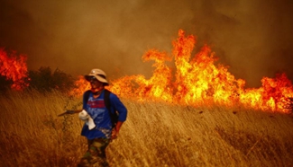 Combat work of wildfire underway in Chillan, Chile