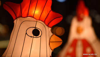 Lanterns in shape of rooster seen in NW China