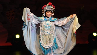"Cultures of China, Festival of Spring" performance held in New Zealand