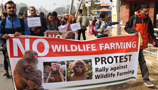 Participants attend protest rally against wildlife farming in Nepal
