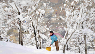 Snowfall, freezing weather claim 42 lives in Afghanistan, life paralyzed in Kabul