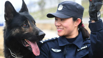 Police dogs trained for security at railway station