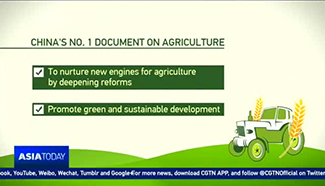 China's 'No. 1 Central Document' focuses on agriculture for 14th consecutive year