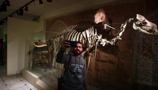 Egypt reopens Hunting Museum at Manial Palace in Cairo