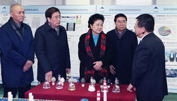 Chinese Vice Premier inspects science park in Beijing