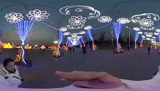 360° panorama: Lantern Festival celebrations at Beijing's Garden Expo Park