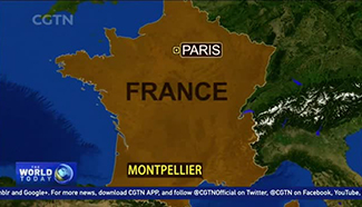 Four arrested in southern France for planning attack on Paris