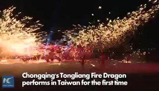 "Fire Dragon" heritage show performed in Taiwan for 1st time