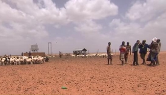 UN to back Kenya after country declares drought a national disaster