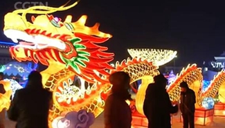 Chinese hold various activities for first full moon of new year