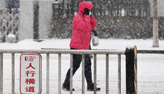 Heavy snowfall hits parts of Jilin, northeast China