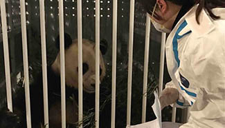 U.S.-born panda Bao Bao arrives in China's Sichuan