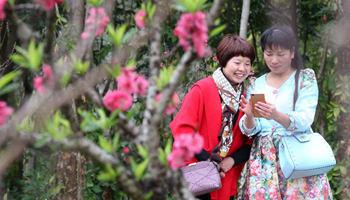 People take selfies among blooming plum flowers in S China