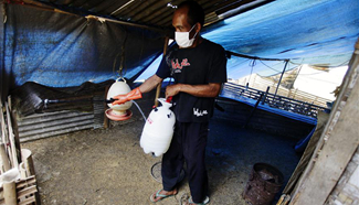 West Java city maintains alert on possible spread of bird flu virus