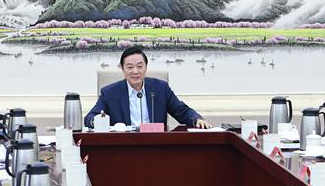Liu Qibao attends meeting of national council of Chinese think tanks