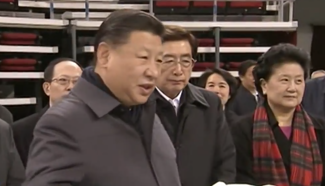 President Xi visits Winter Olympic 2022 venues