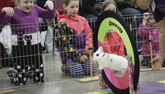 In pics: 5th "Vancouver Pet Lover Show"