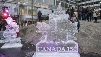 People visit 12th Bloor-Yorkville Icefest in Toronto