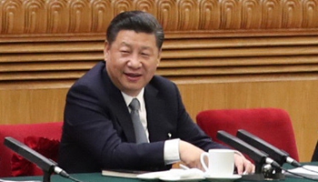 Real economy crucial for development of NE province: Xi