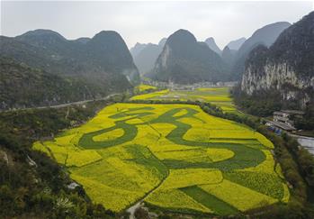 Chinese character for "dragon" seen amid rape flowers in SW China