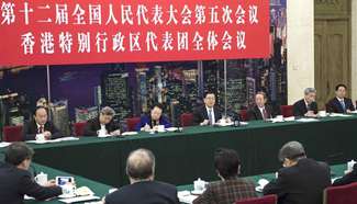 Chinese leaders join panel discussions with NPC deputies