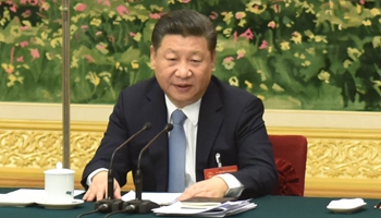 Xi calls for building "great wall of iron" for Xinjiang's stability