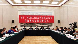 Plenary meeting of 12th NPC deputies from Qinghai opens to media