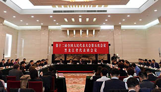 Plenary meeting of 12th NPC deputies from Heilongjiang opens to media