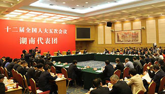 Plenary meeting of 12th NPC deputies from Hunan opens to media