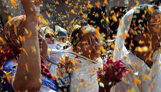 Pre-celebration of Holi festival held in India