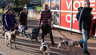 Annual Crufts dog show held in Birmingham, Britain