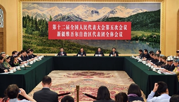 Plenary meeting of 12th NPC deputies from Xinjiang opens to media
