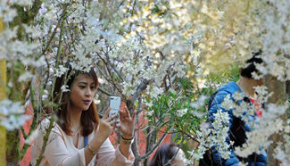 Visitors view flowers during "Blossom Bliss" in Singapore