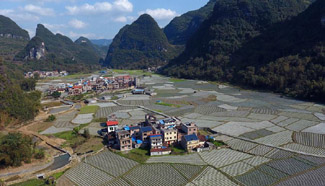 In pics: fields covered with films at village in S China