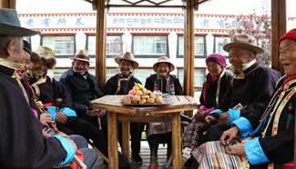 Elders in Tibet's rural areas arranged in nursing homes for better care