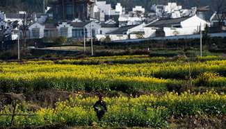 Scenery of ancient village in E China