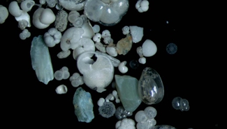 Scientists from different countries on expedition to South China Sea