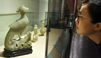 Exhibition "fortunate year of rooster" held in SE China