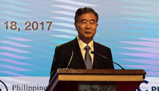 Wang Yang addresses Sino-Philippine economic and trade forum in Manila