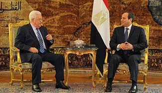 Egyptian president meets with visiting Palestinian counterpart