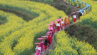 Cheongsam fans walk on terrace fields of cole flowers in E China city