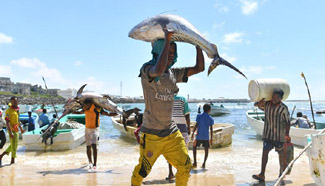 In pics: fishing harbor of Mogadishu, Somalia
